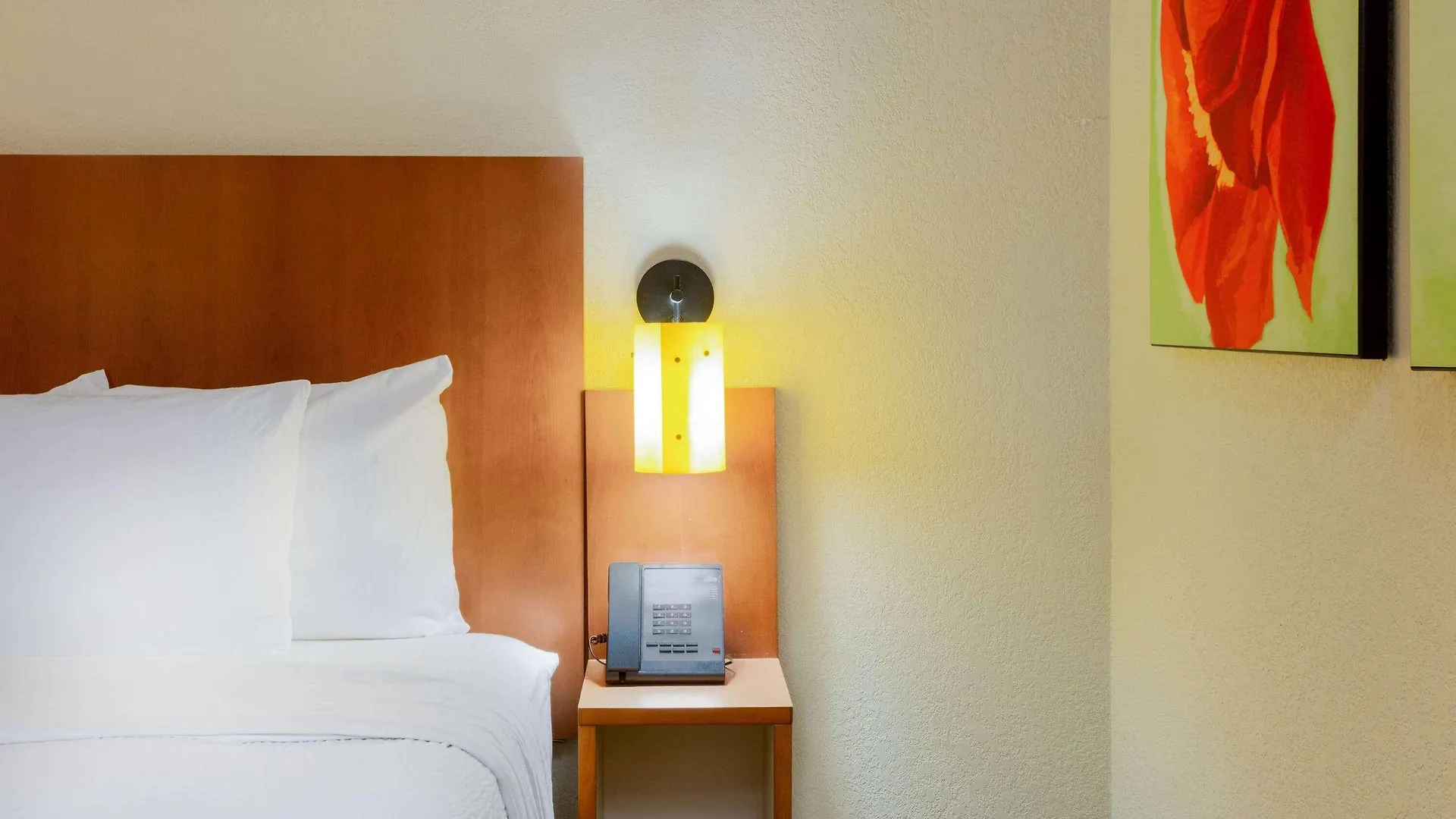 Clt Airport Inn & Suites Charlotte United States
